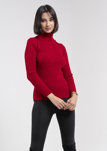 Picture of Red Top (Winter Collection)