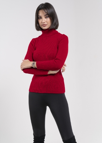 Picture of Red Top (Winter Collection)